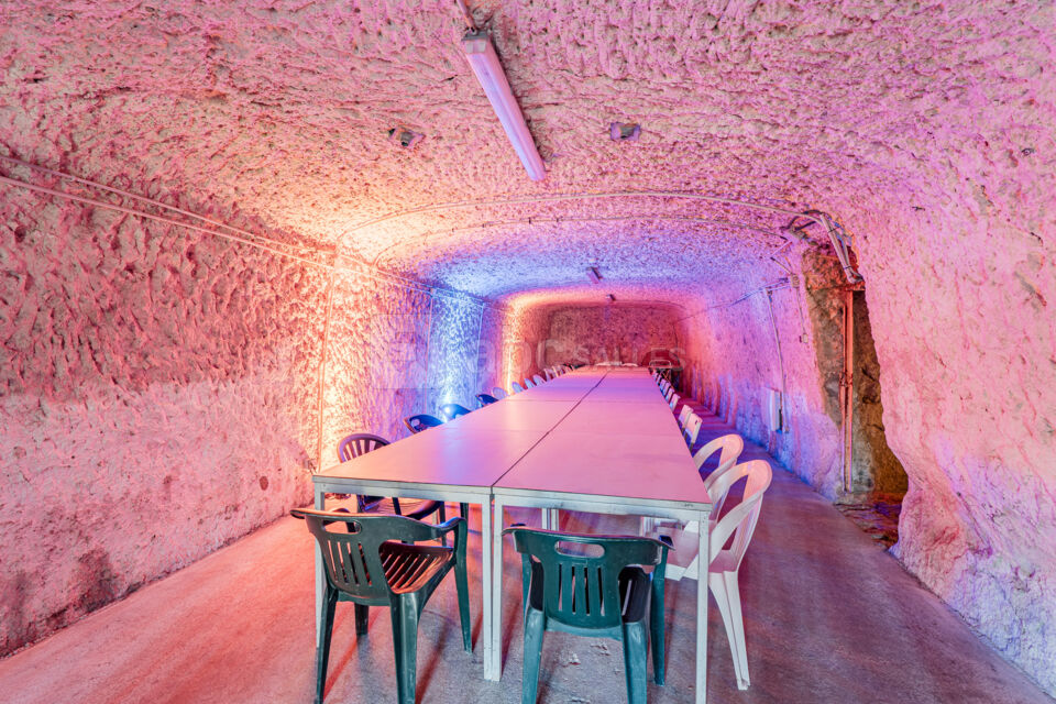 Salle des fêtes Troglodyte
