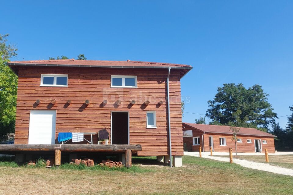 Tonik Camping