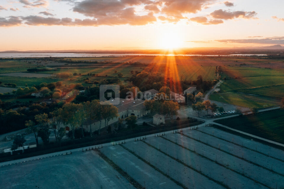 Vue Drone Mas