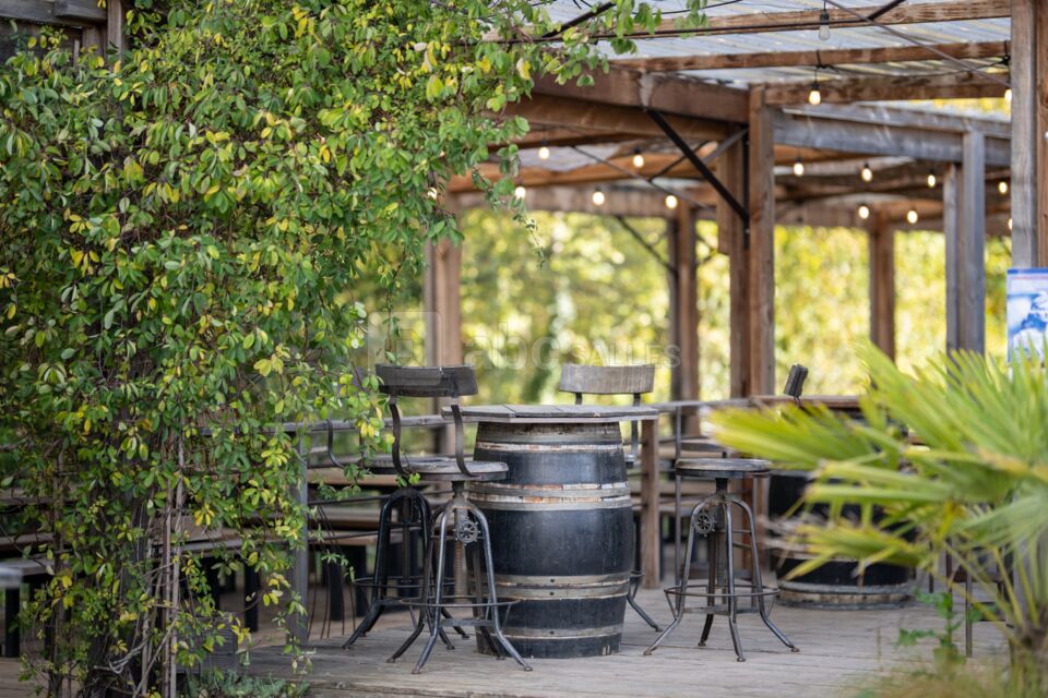 La Terrasse couverte et son bar