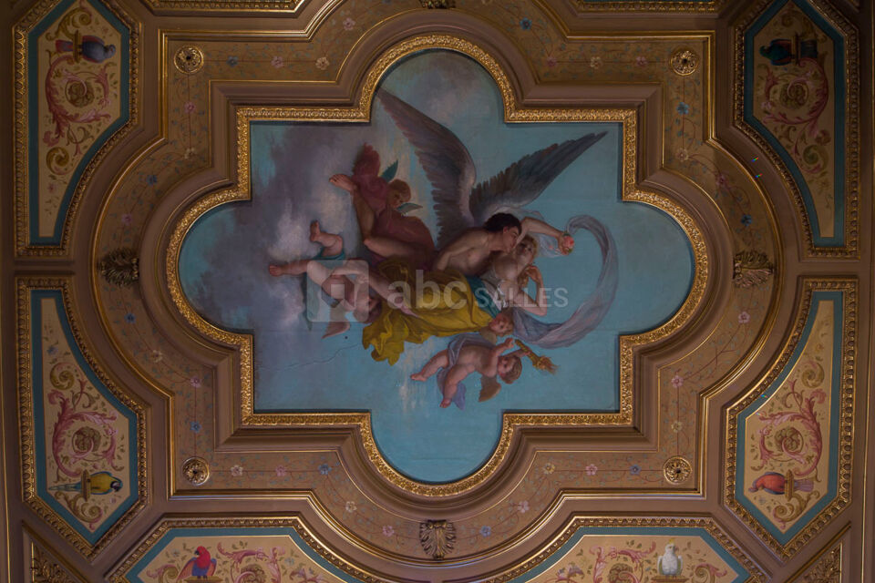 Peinture plafond