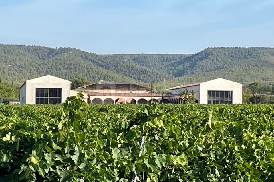 Les vignobles à perte de vue