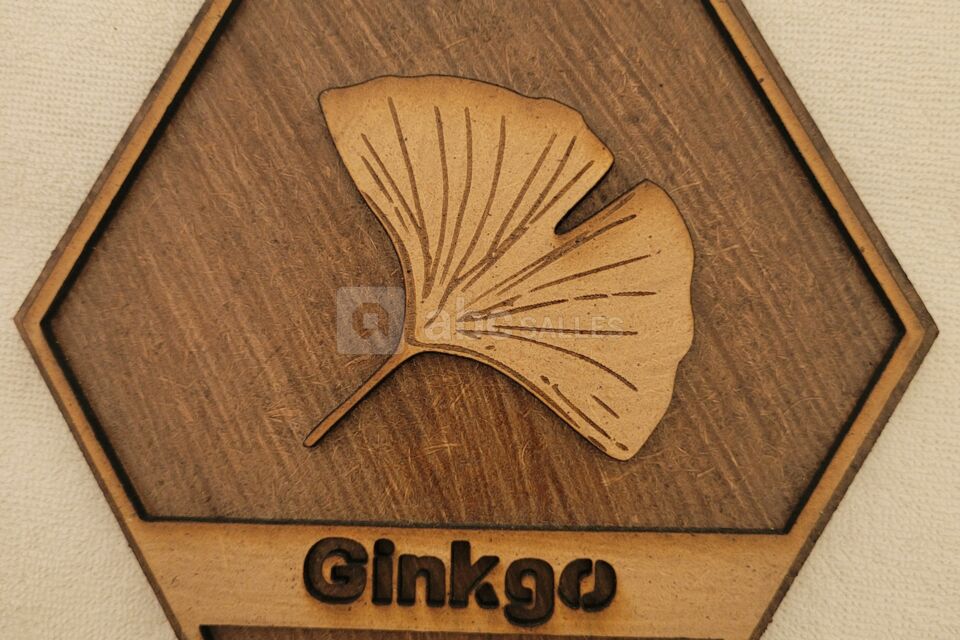 Domaine de la Bachellerie