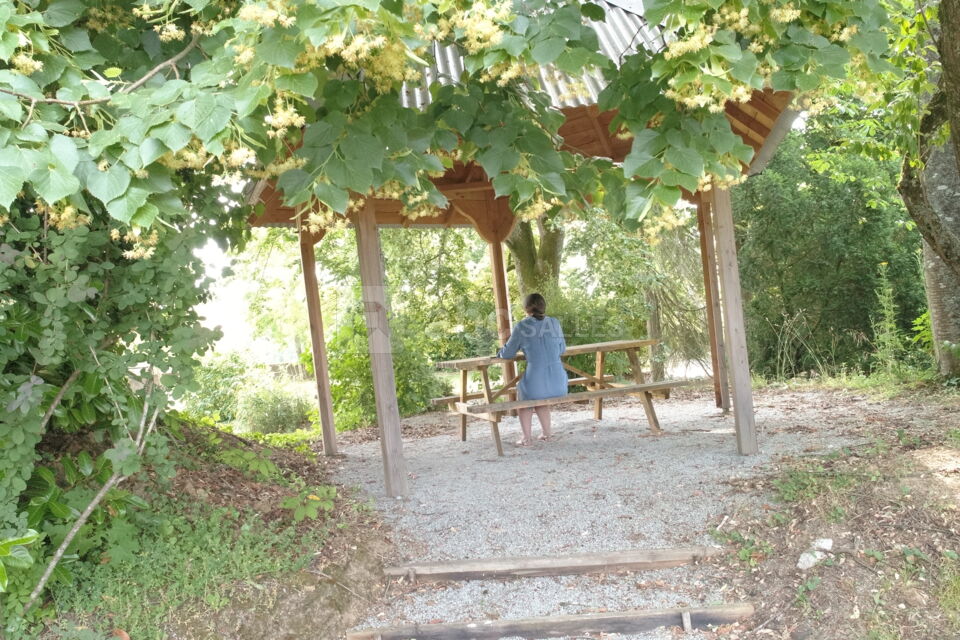 Domaine de la Bachellerie