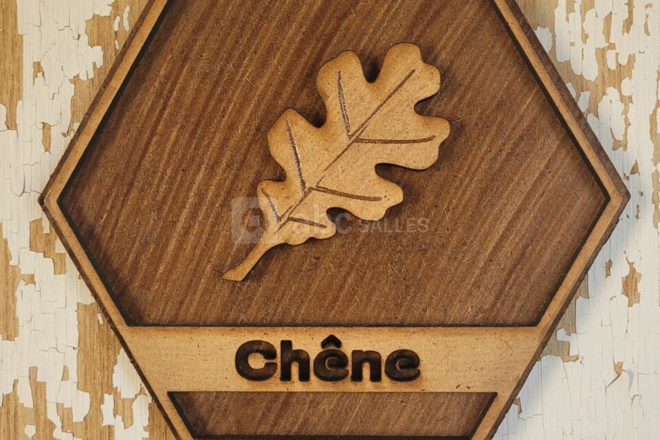 Domaine de la Bachellerie