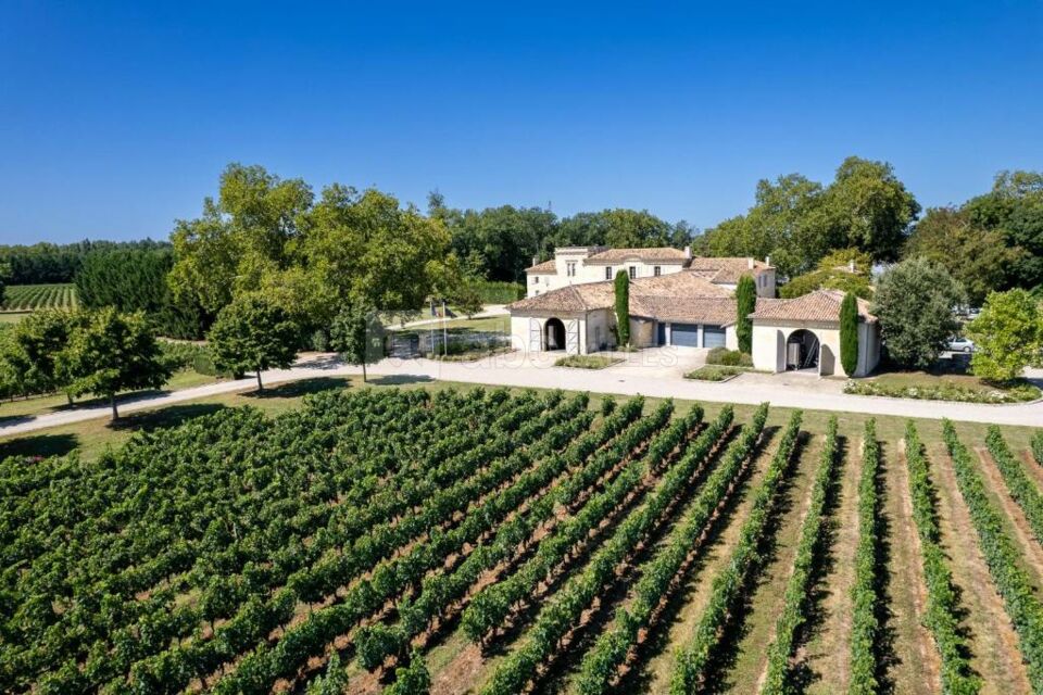 Château Larteau
