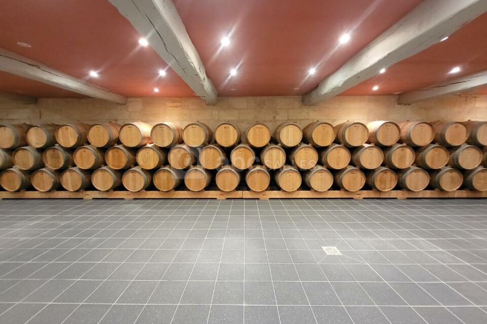 Château Larteau