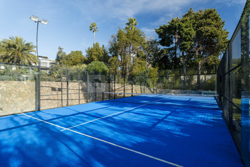 Villa Alexandra Cannes
