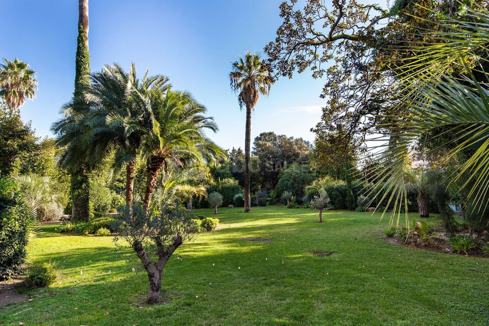 Villa Alexandra Cannes