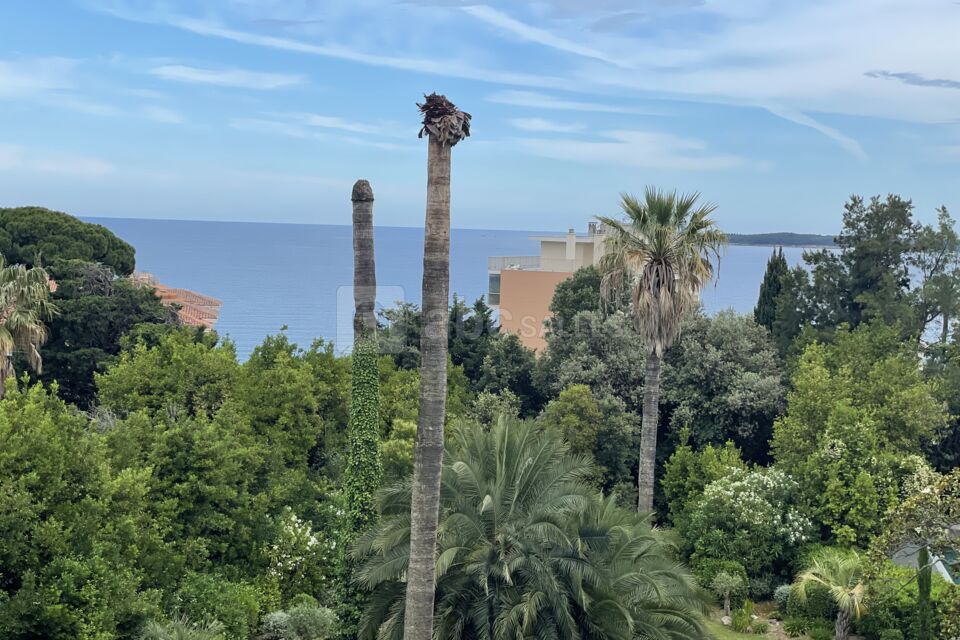 Villa Alexandra Cannes