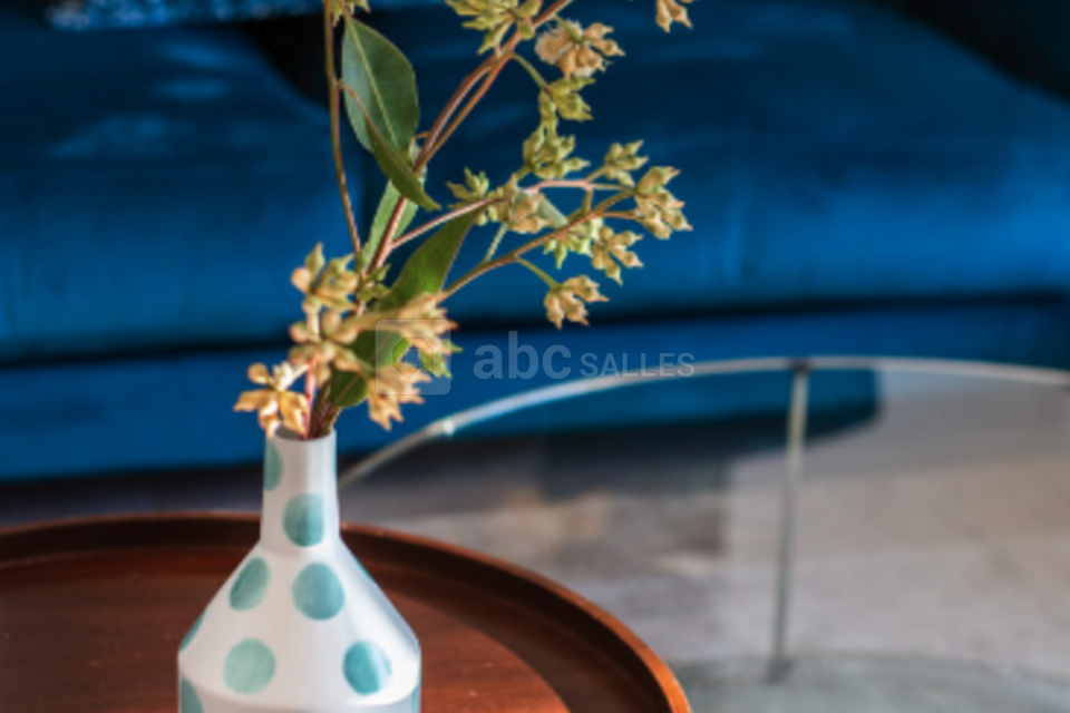 Villa Alexandra Cannes