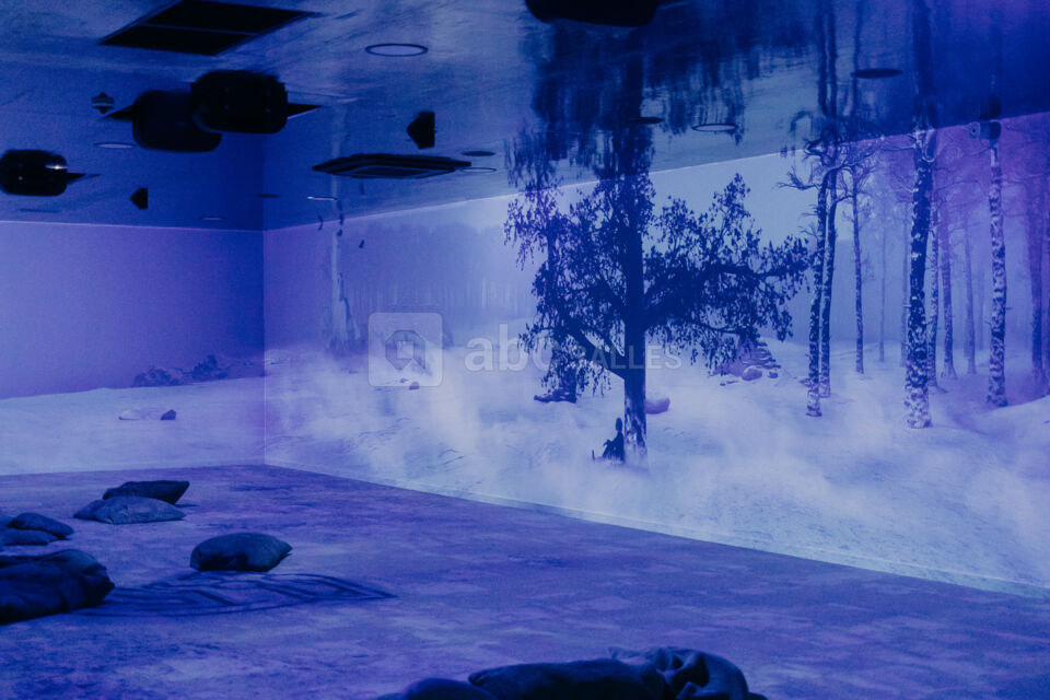 Cite Immersive Viking