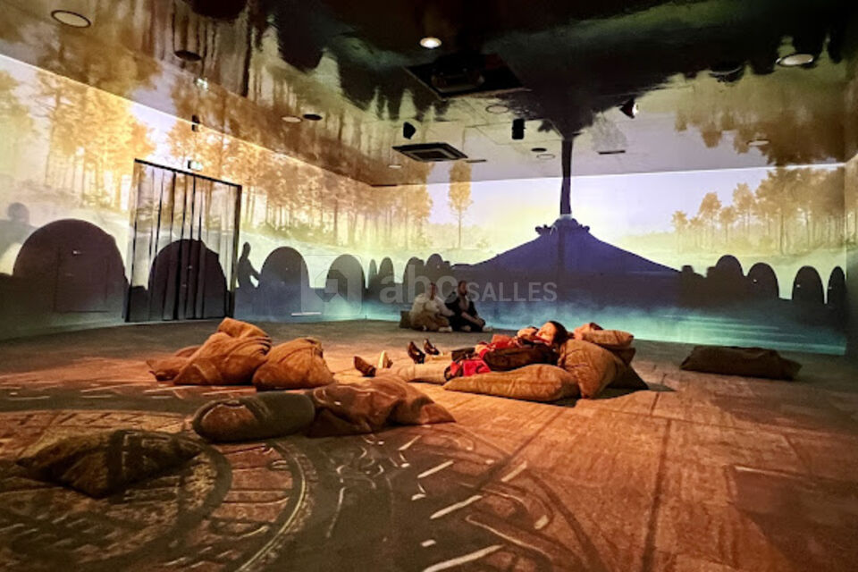 Cite Immersive Viking