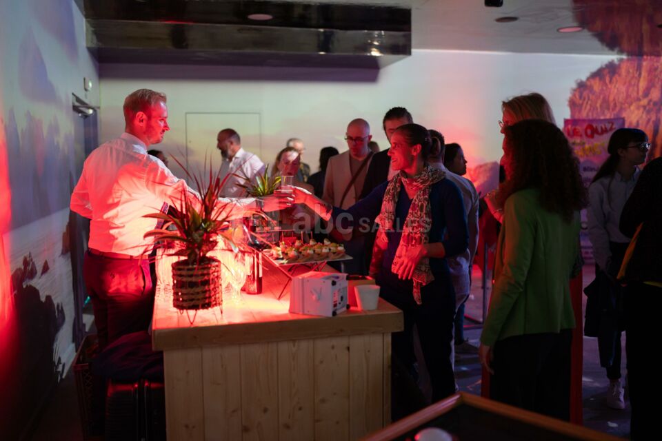 Cite Immersive Viking