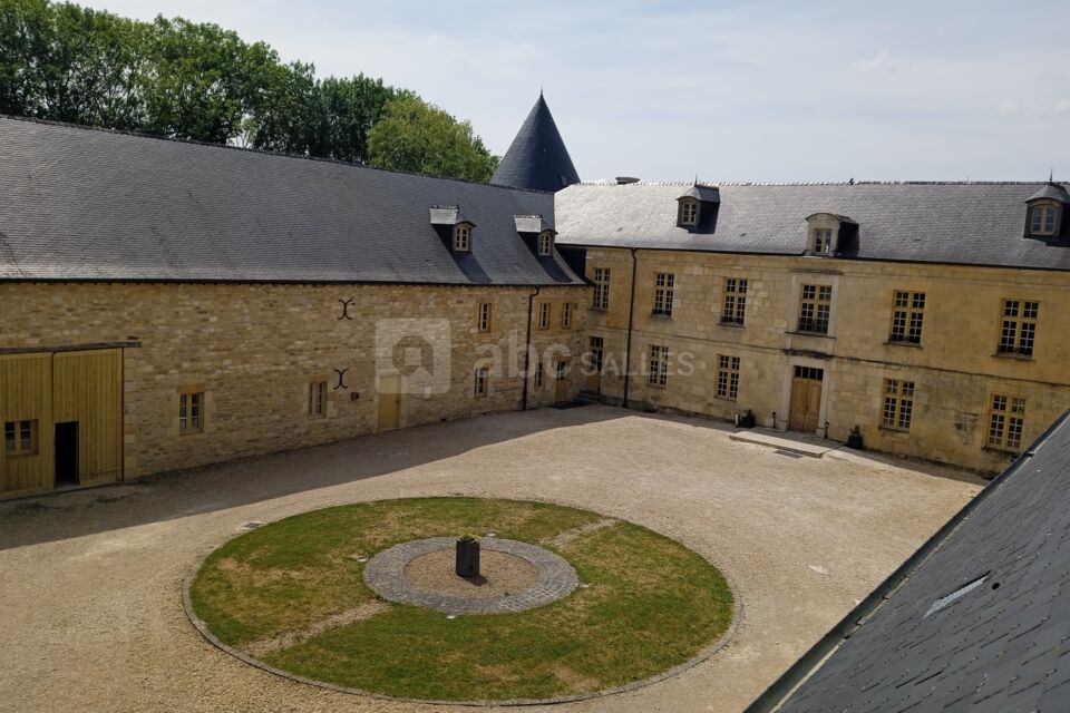 La cours du château