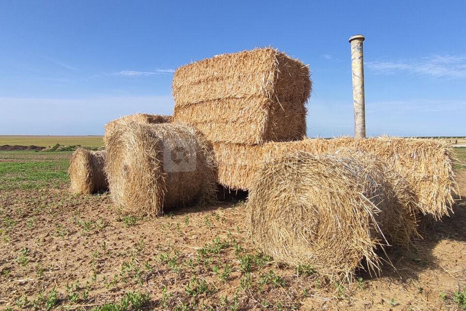Ici c’est la Brie