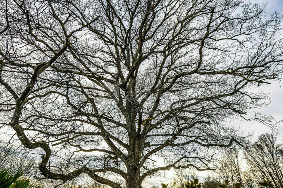 L&amp;#39;Exot&amp;#39;île - ABC Salles