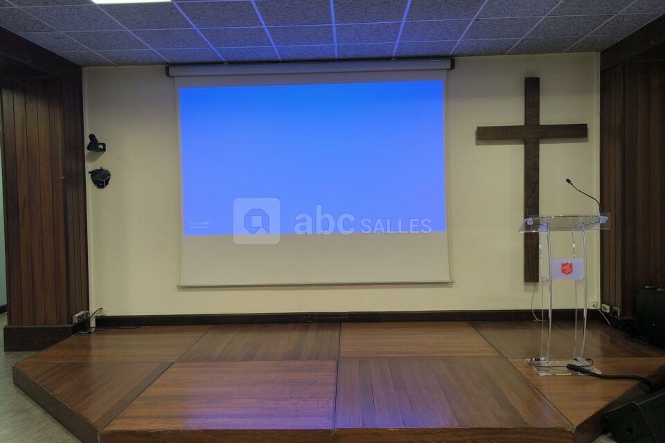 Ecran, vidéoprojecteur, caméra salle Iris