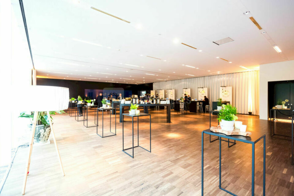 Salon Isabeau - Cocktail d'entreprise