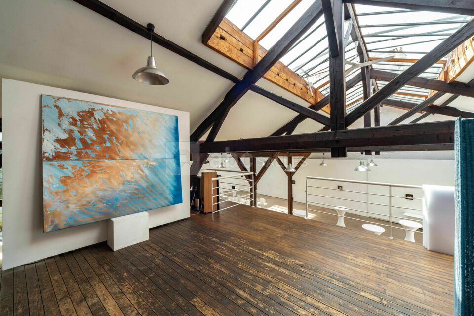 Ideal Artist House
