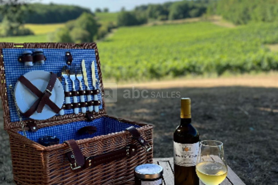 Château Hostens-Picant