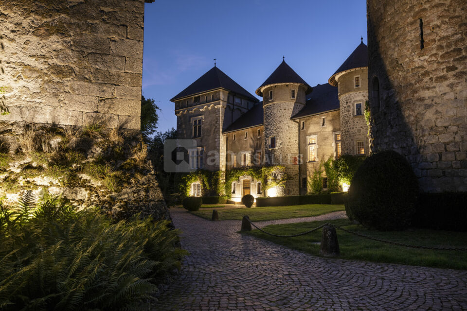 Façade du chateau de nuit