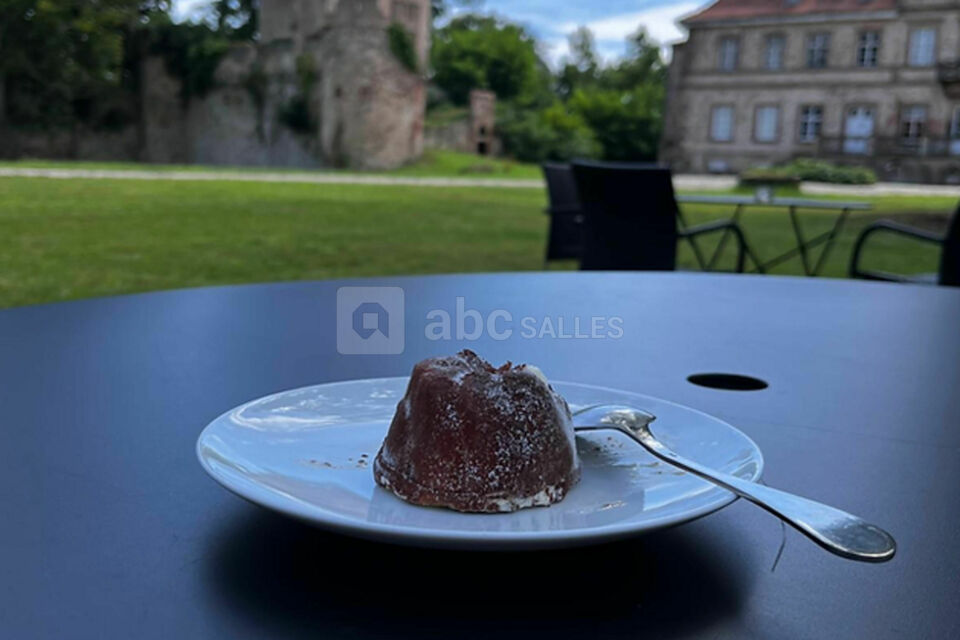 Château de Niedernai