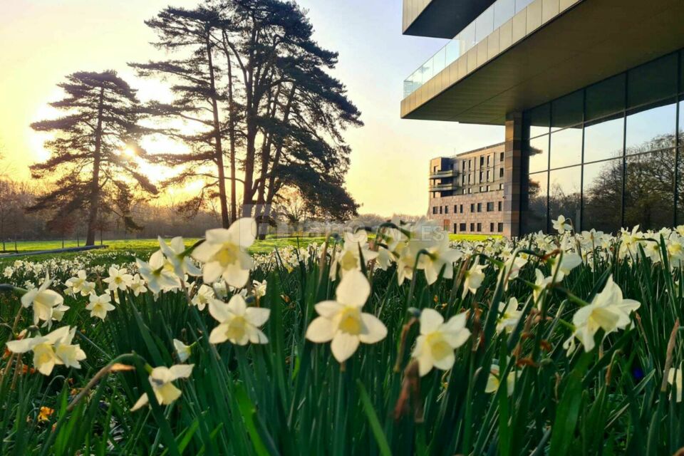 Maubreuil Séminaires en fleurs à Nantes Carquefou 44