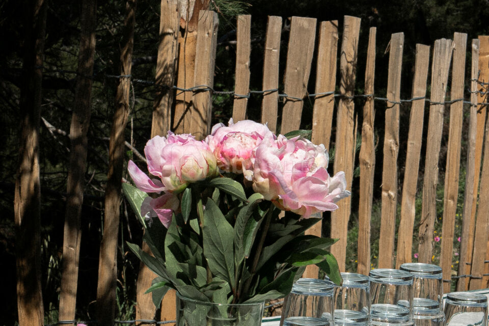 Le Jardin d'Été