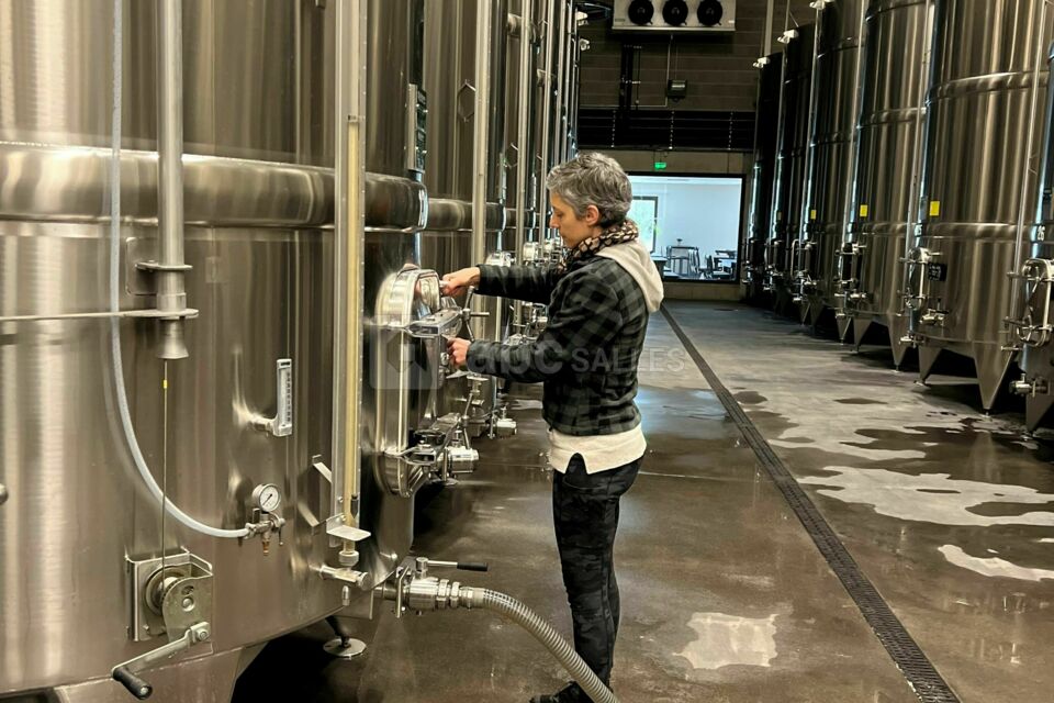 Chai de vinification