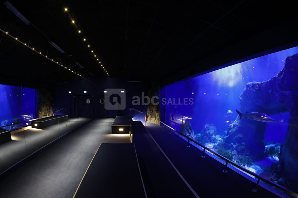 Aquarium Oniria