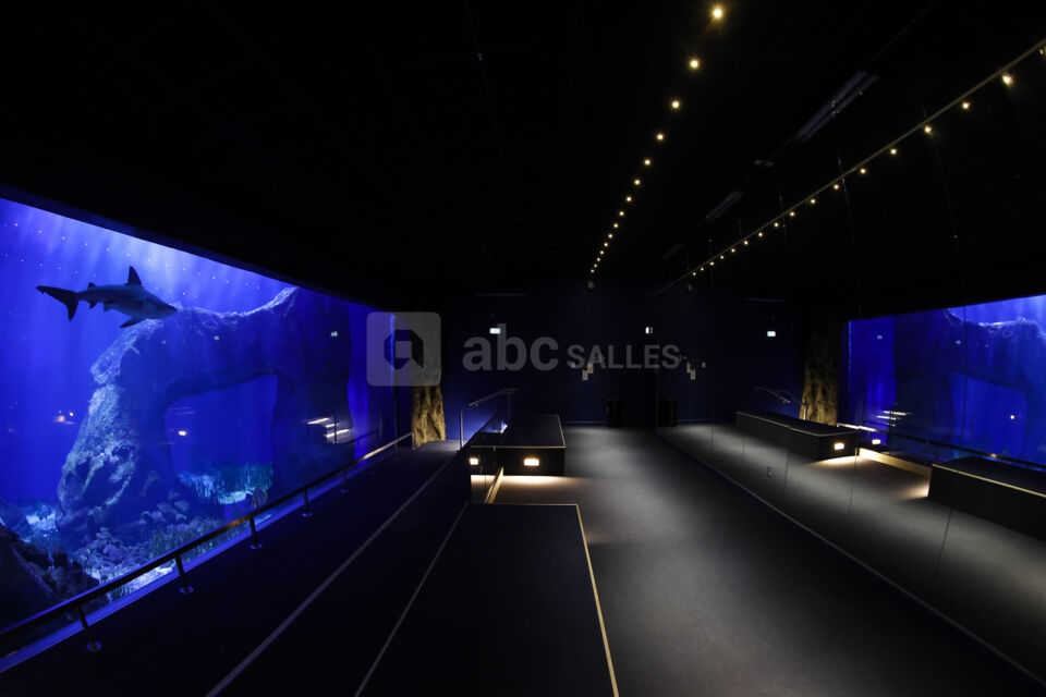 Aquarium Oniria