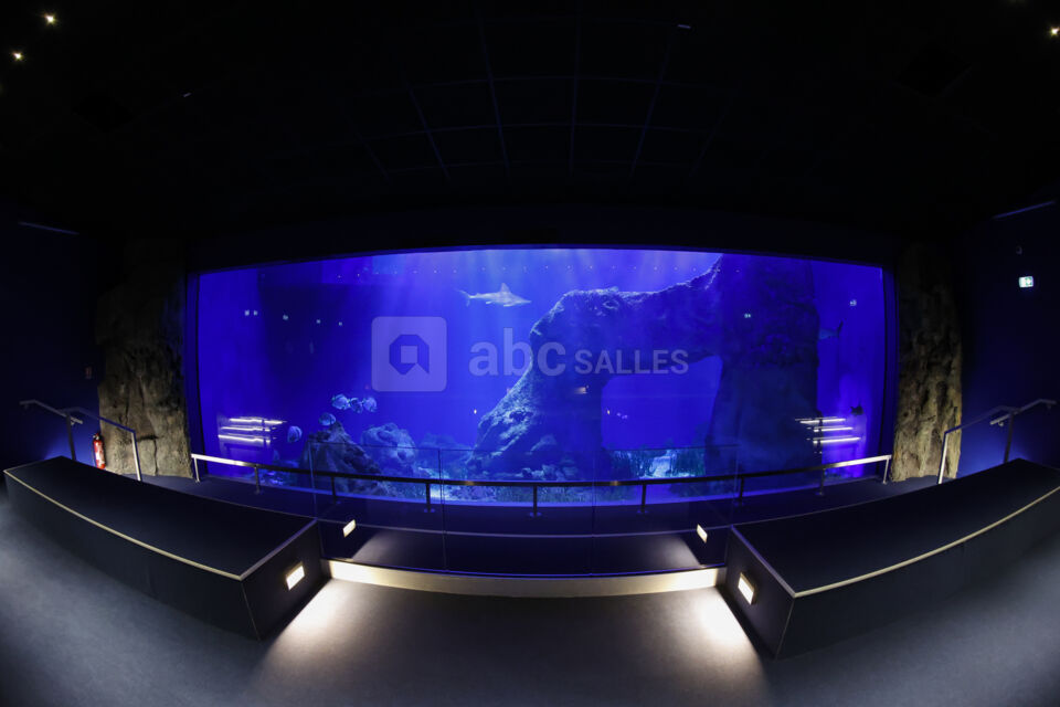 Aquarium Oniria