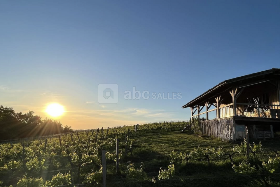 La Cabane Dans les Vignes
