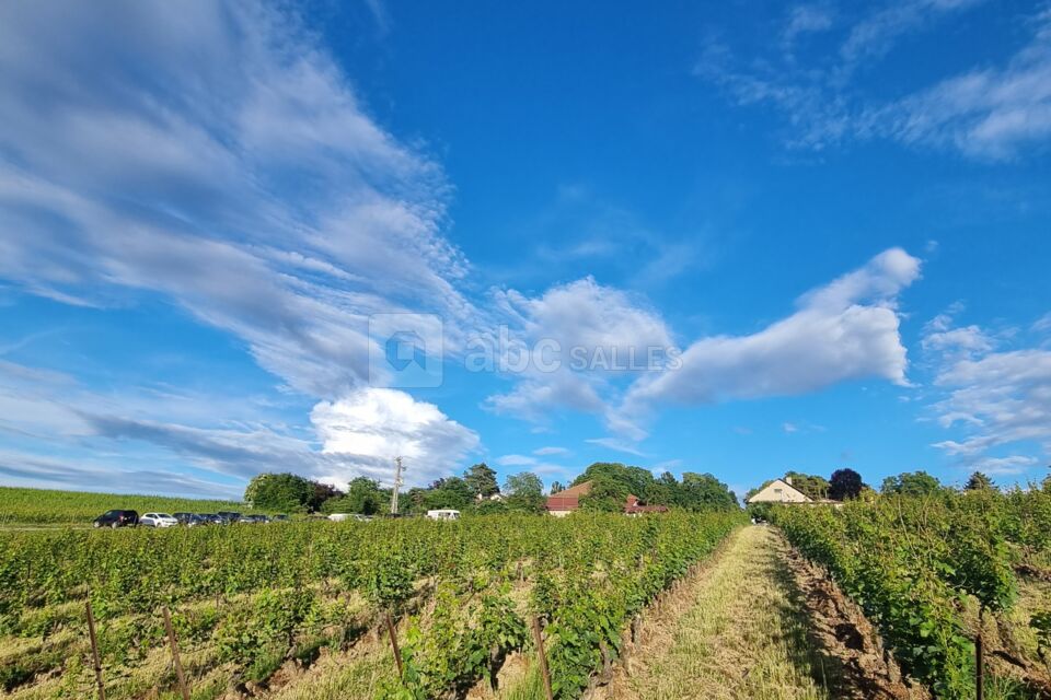 Domaine