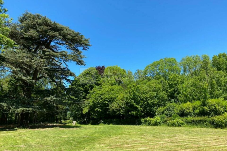 Parc du château avec le cèdre