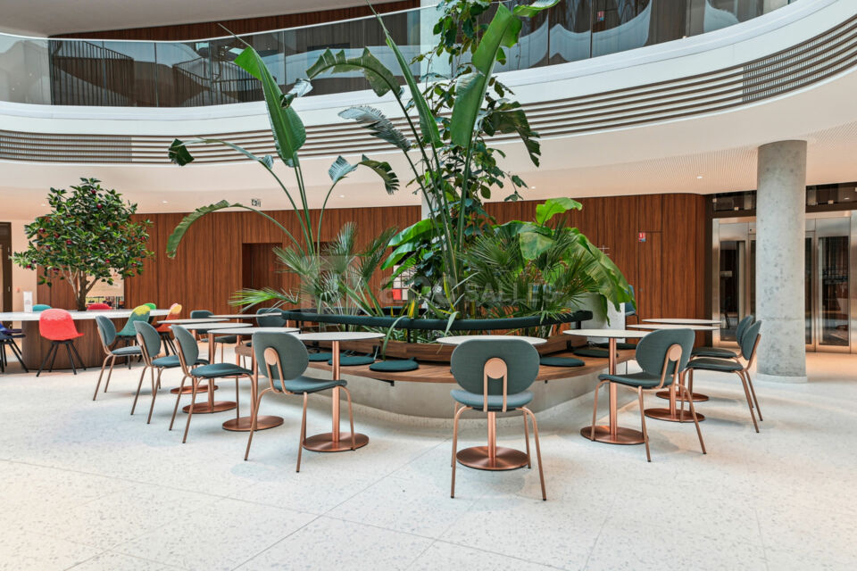 Newton Offices Limonest