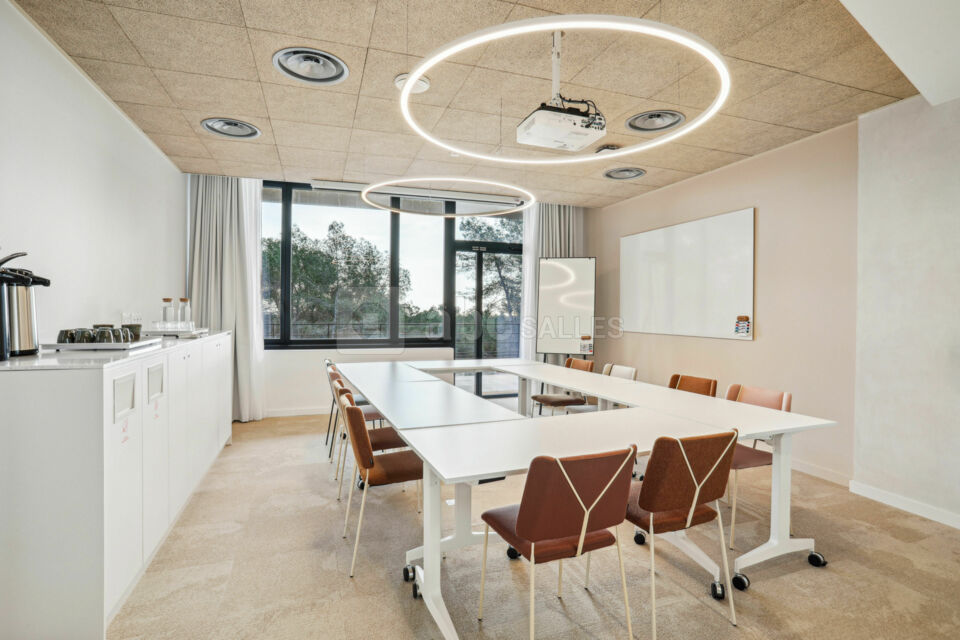 Newton Offices Sophia Antipolis