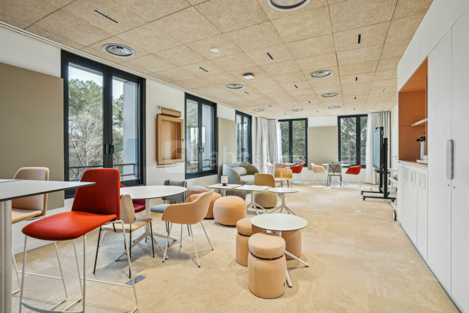 Newton Offices Sophia Antipolis