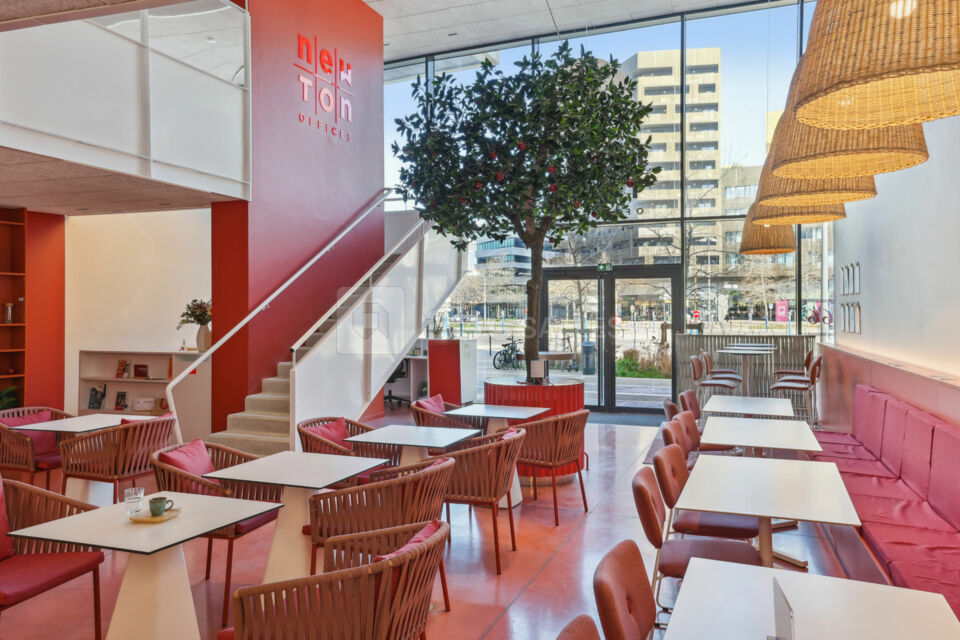 Newton Offices Port Marianne