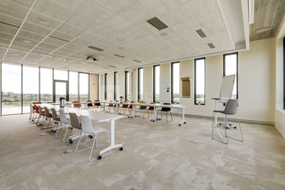 Newton Offices Haute Borne