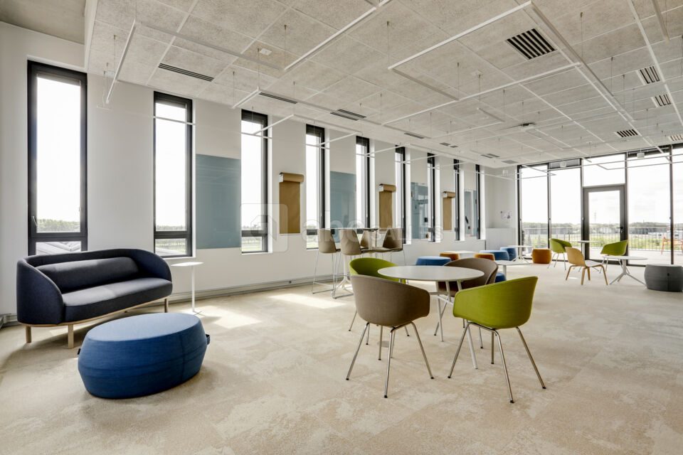 Newton Offices Haute Borne