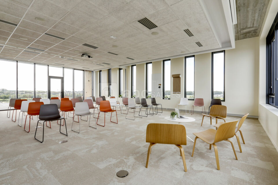 Newton Offices Haute Borne