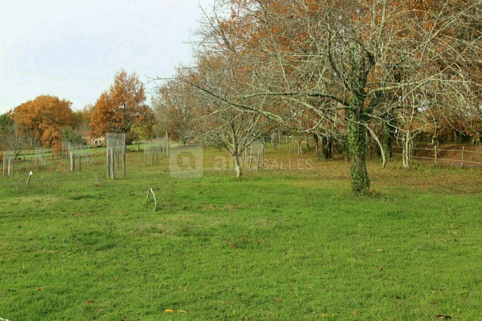 Domaine de la Contie