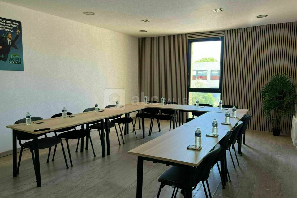 Ace Consulting