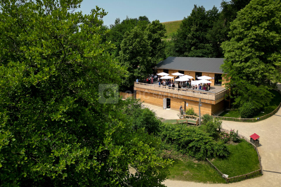 Bois des Lutins Business