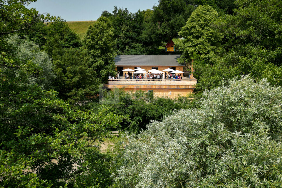 Bois des Lutins Business