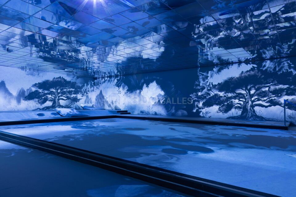 Ambiance Estampes Japonaises