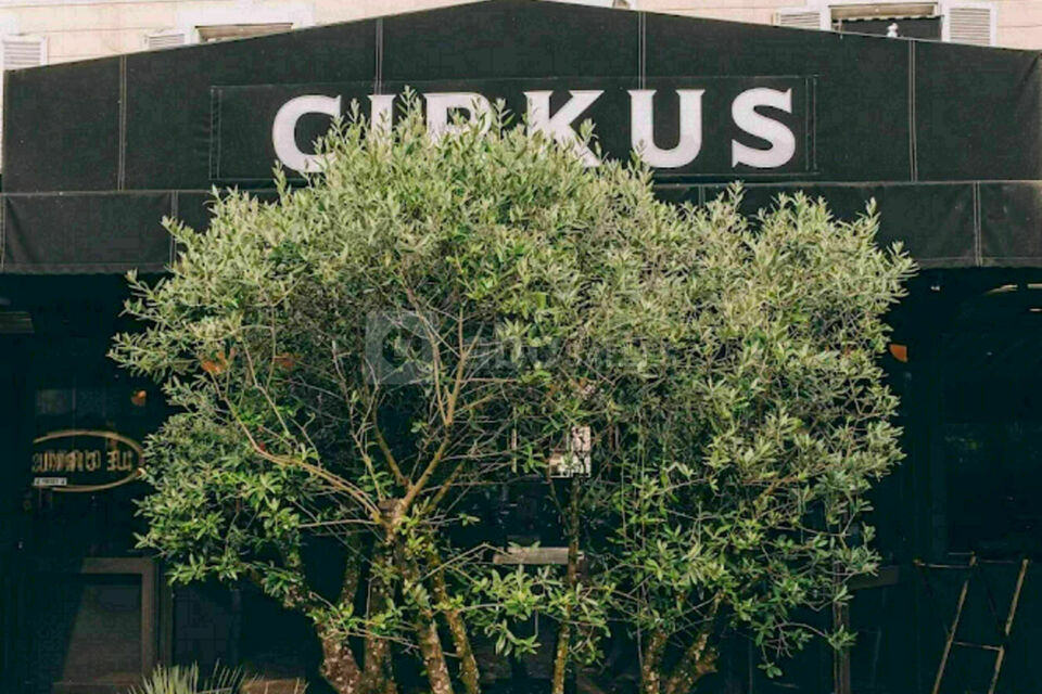 Le Cirkus