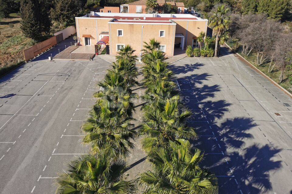 O Palma